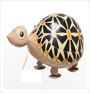 Turtle Walking Pet Balloon お散歩ホシガメ